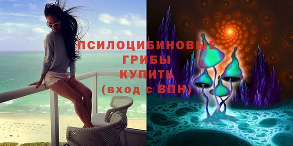 MDMA Premium VHQ Аркадак